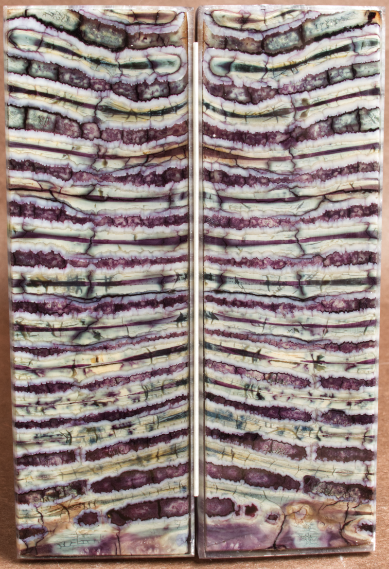 5.2" x 1.7" x 0.33" Stabilized Mammoth Molar Scales 252867