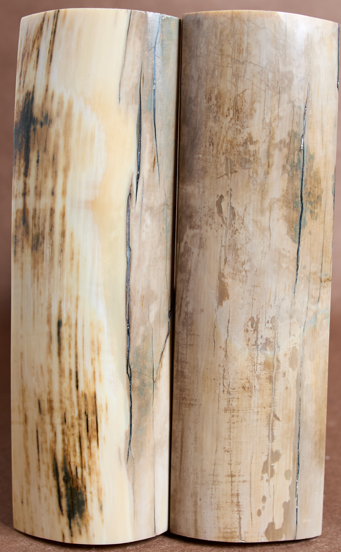 5.25" x 1.65" Stabilized Mammoth Tusk Bark Scales 261420