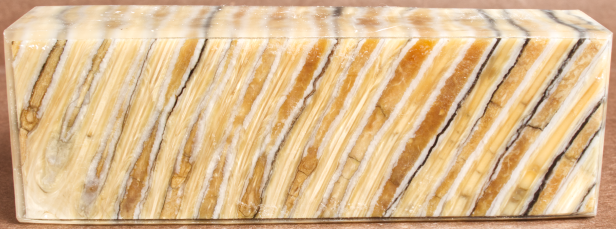 5.2" x 1.7" x 1.25" Stabilized Mammoth Molar Block 260466