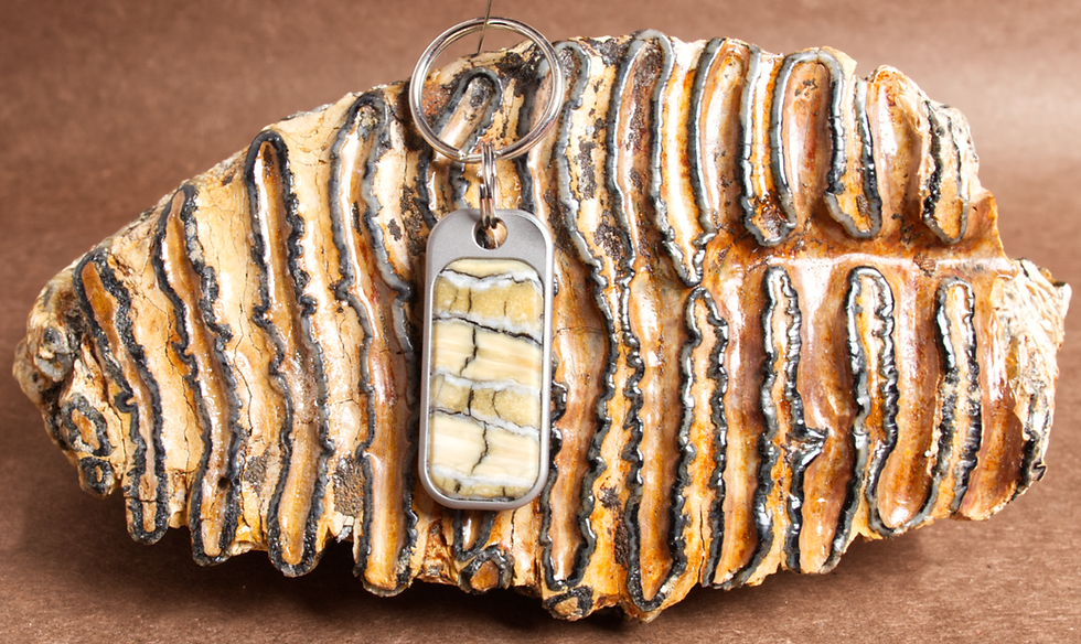 Thumbnail: Mammoth Tooth Keychain 260901