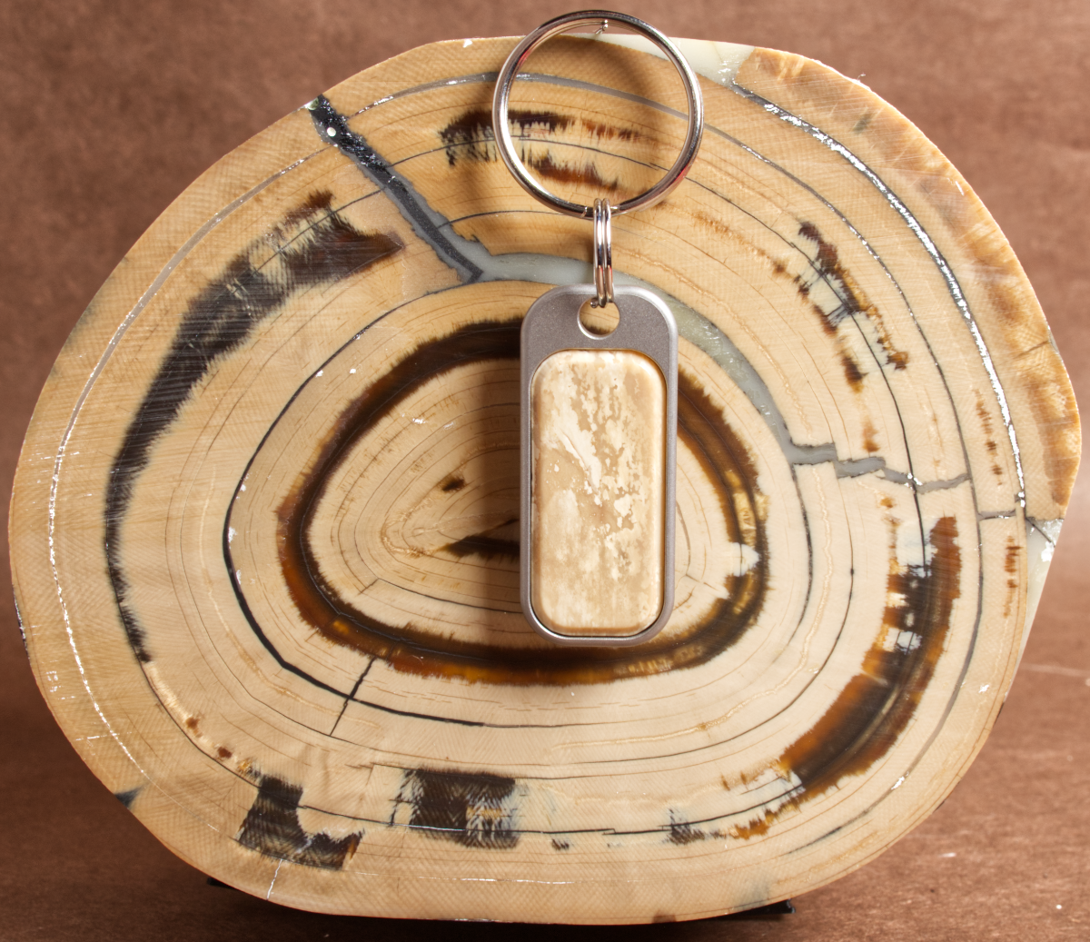 Mammoth Tusk Keychain 260891