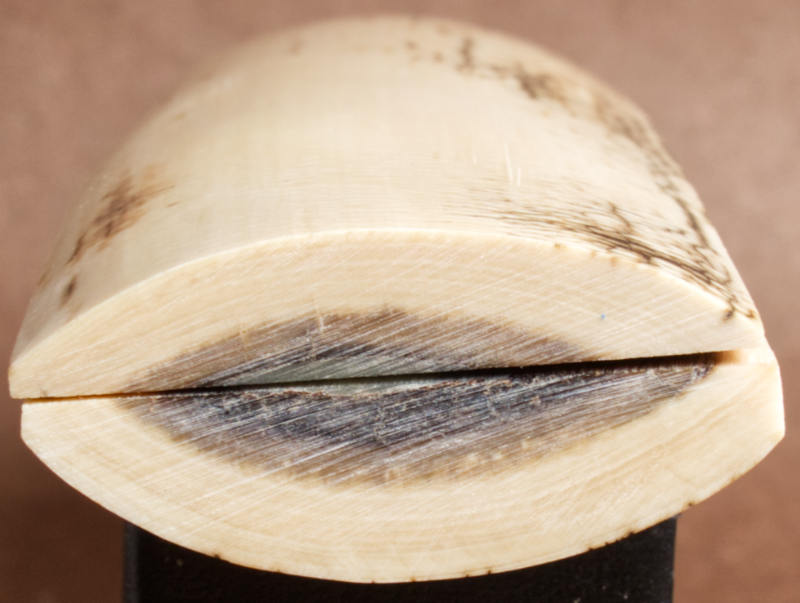Thumbnail: 5.1" x 1.8" Stabilized Mammoth Tusk Bark Scales 260650