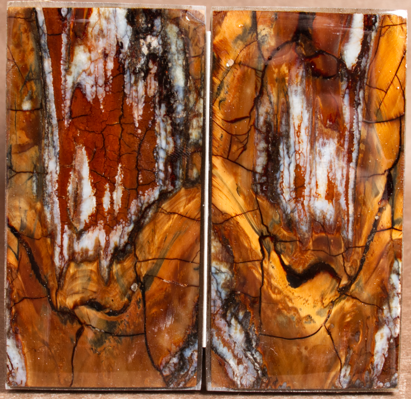 3.5" x 1.7" x 0.25" Stabilized Mammoth Molar Scales 260144