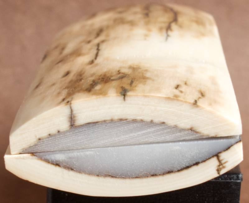 Thumbnail: 5.25" x 1.7" Stabilized Mammoth Tusk Bark Scales 260631