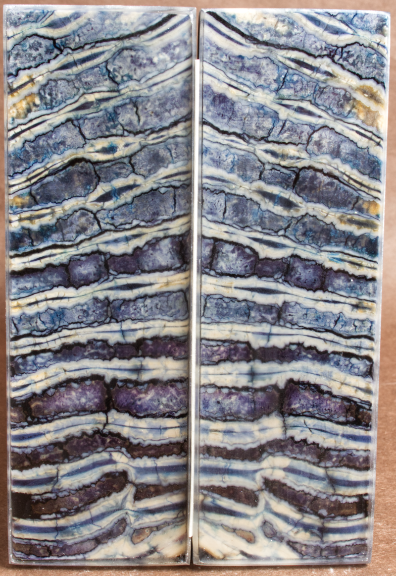 5.2" x 1.7" x 0.33" Stabilized Mammoth Molar Scales 252864