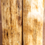 Thumbnail: 4.4" x 1.63" Stabilized Mammoth Tusk Bark Scales 260181