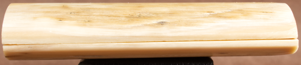 Thumbnail: 3.25" x 1.2" Stabilized Mammoth Tusk Bark Scales 260777