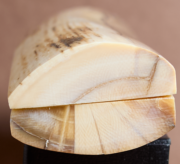 Thumbnail: 5.25" x 1.65" Stabilized Mammoth Tusk Bark Scales 261420
