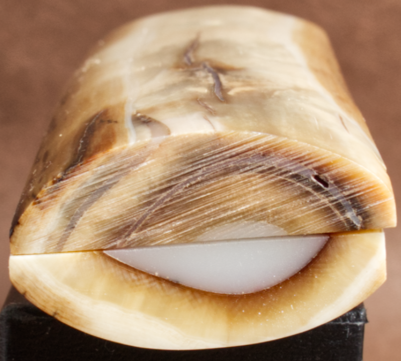Thumbnail: 4.4" x 1.46" Stabilized Mammoth Tusk Bark Scales 260501