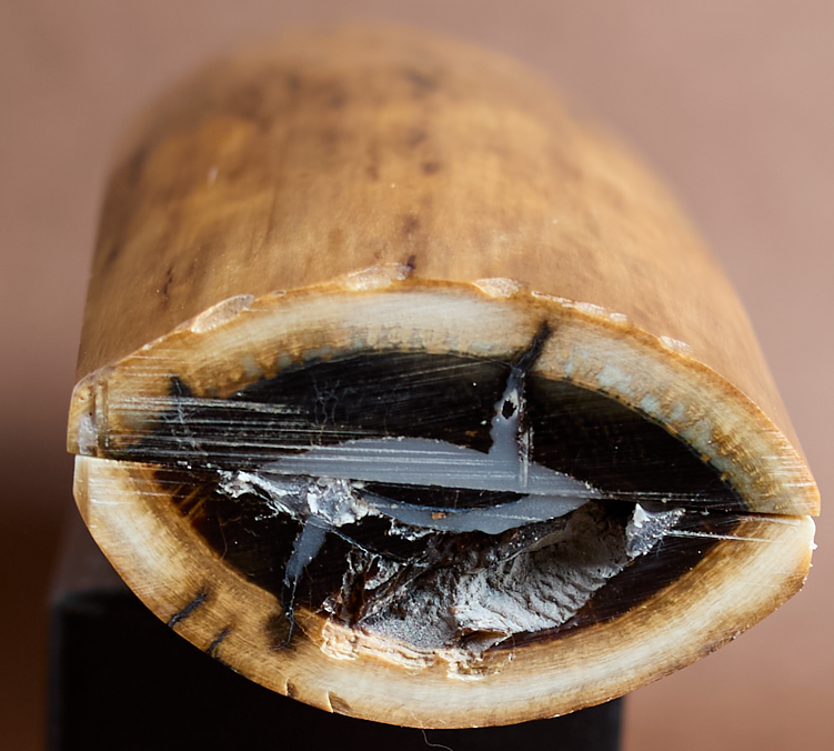 Thumbnail: 5" x 1.6" Stabilized Mammoth Tusk Bark Scales 261405