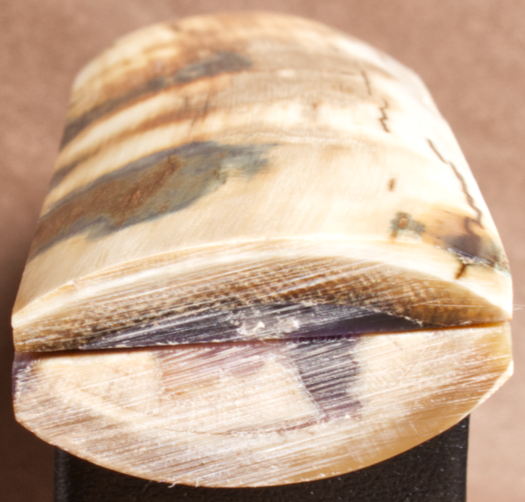 Thumbnail: 5" x 1.6" Stabilized Mammoth Tusk Bark Scales 260101