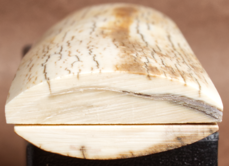 Thumbnail: 5.2" x 1.45" Stabilized Mammoth Tusk Bark Scales 260811
