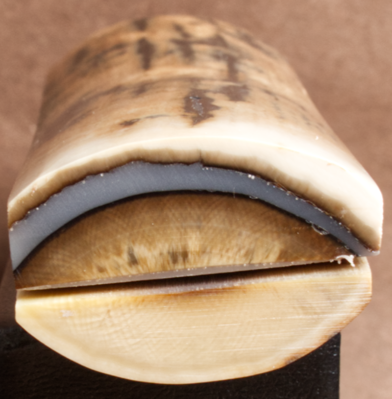 Thumbnail: 5.25" x 1.45" Stabilized Mammoth Tusk Bark Scales 252717