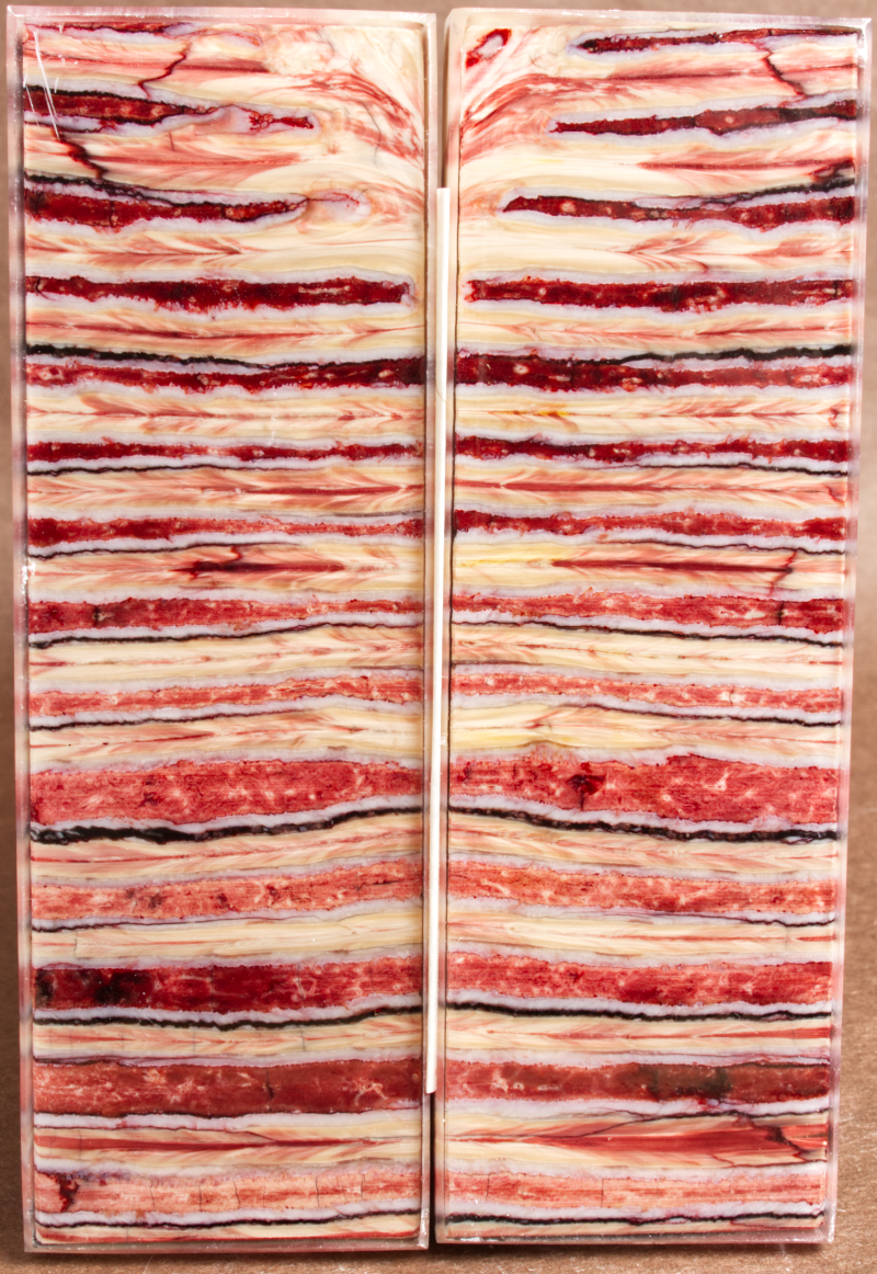 5.2" x 1.7" x 0.33" Stabilized Mammoth Molar Scales 252881