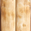 Thumbnail: 4" x 1.4" Stabilized Mammoth Tusk Bark Scales 252689