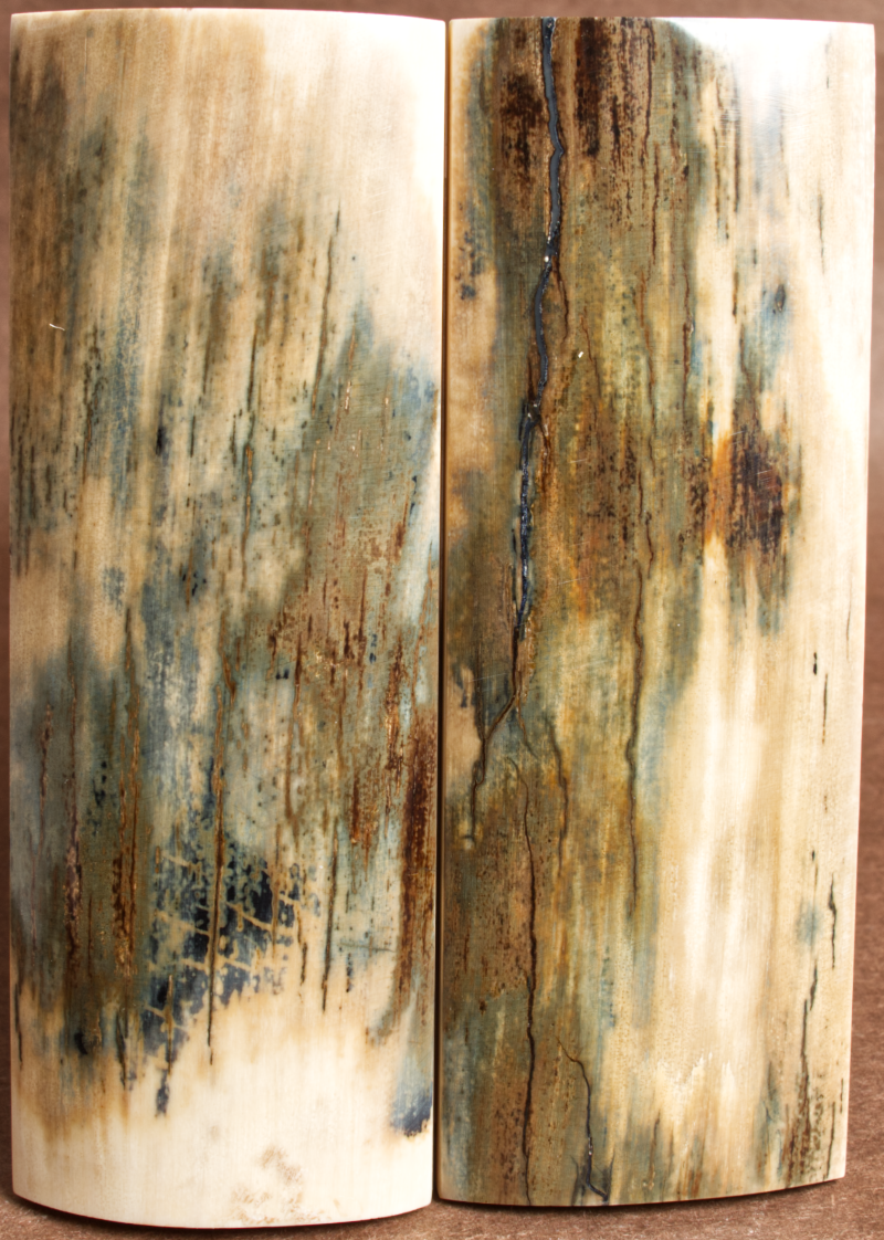 5" x 1.8" Stabilized Mammoth Tusk Bark Scales 260449