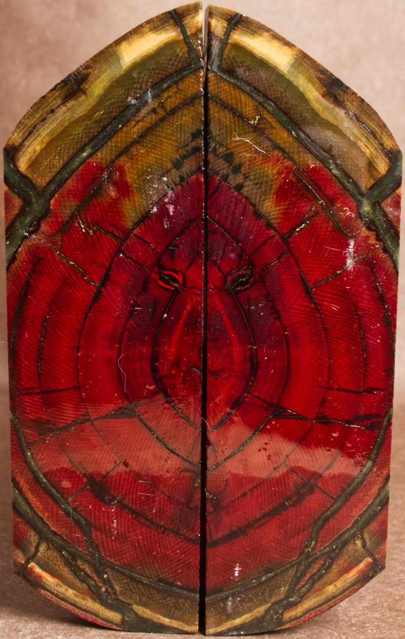 5.75" x 1.55" x 0.38" Stabilized Mammoth Tusk Cross Cut Scales 260361