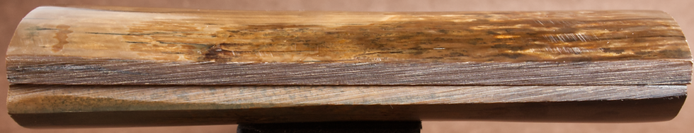 Thumbnail: 5.2" x 1.55" Stabilized Mammoth Tusk Bark Scales 260627