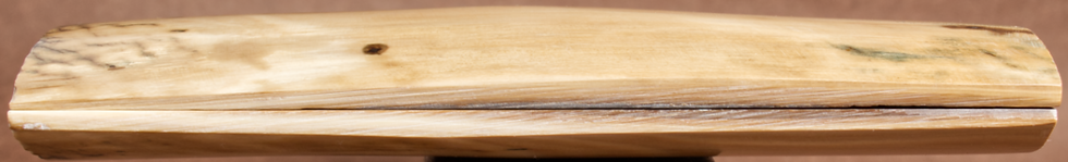 Thumbnail: 5" x 1.63" Stabilized Mammoth Tusk Bark Scales 260793