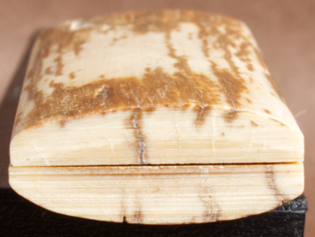 Thumbnail: 3.15" x 1.15" Stabilized Mammoth Tusk Bark Scales 260740