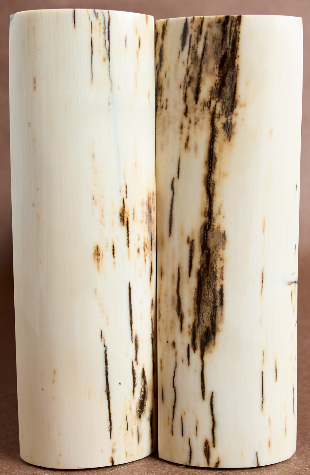 5.2" x 1.6" Stabilized Mammoth Tusk Bark Scales 261376