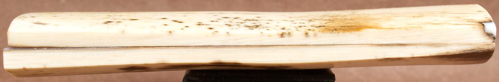 Thumbnail: 4.8" x 1.67" Stabilized Mammoth Tusk Bark Scales 260836