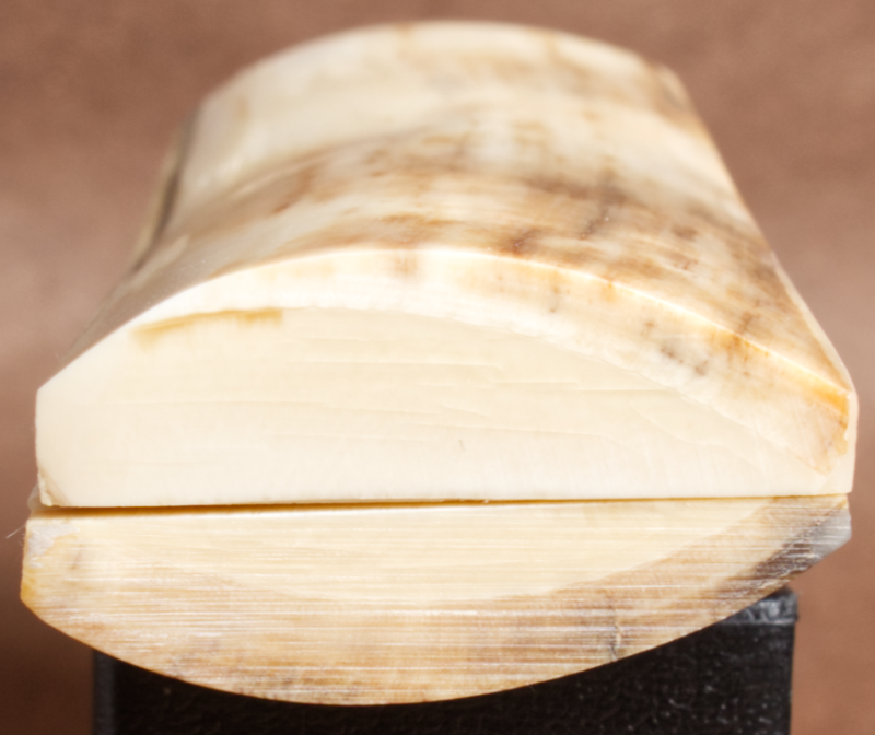 Thumbnail: 5.1" x 1.55" Stabilized Mammoth Tusk Bark Scales 260783