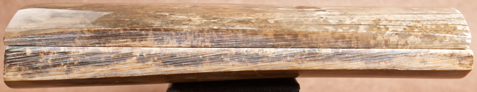 Thumbnail: 5.1" x 1.8" Stabilized Mammoth Tusk Bark Scales 260629