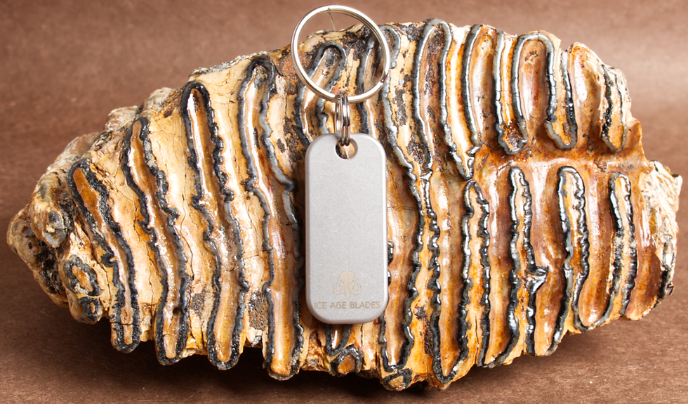 Thumbnail: Mammoth Tooth Keychain 260903