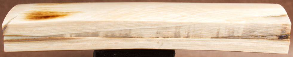 Thumbnail: 5.1" x 1.7" Stabilized Mammoth Tusk Bark Scales 260500