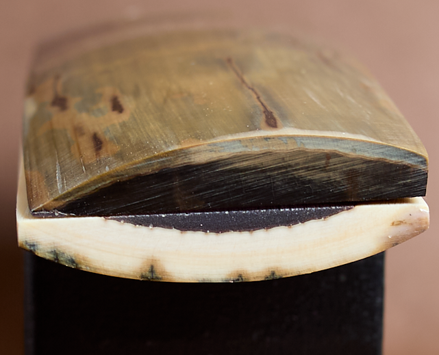 Thumbnail: 5.1" x 1.55" Stabilized Mammoth Tusk Bark Scales 261371