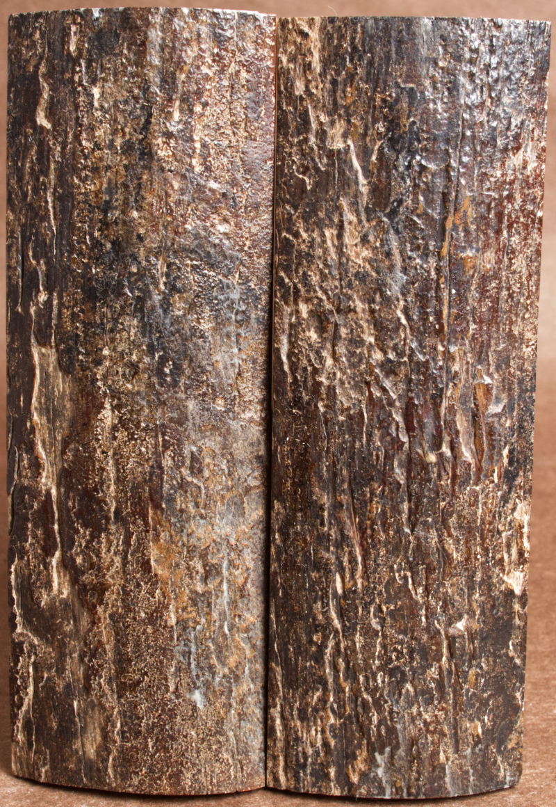 5" x 1.75" Stabilized Mammoth Tusk Bark Scales 260436