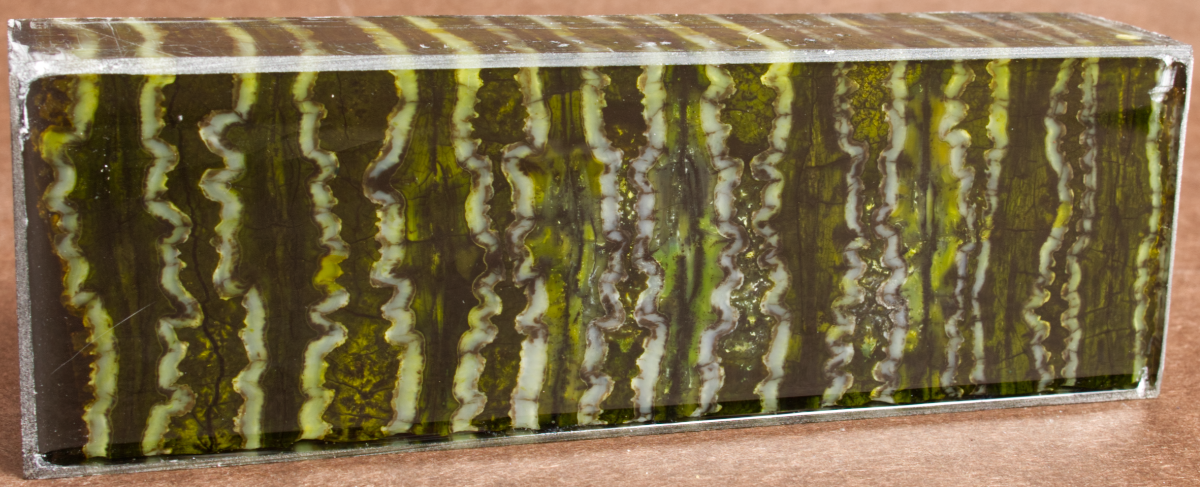 5" x 1.6" x 1" Stabilized Mammoth Molar Block 260683