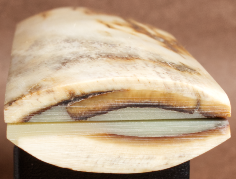 Thumbnail: 5.1" x 1.68" Stabilized Mammoth Tusk Bark Scales 260801
