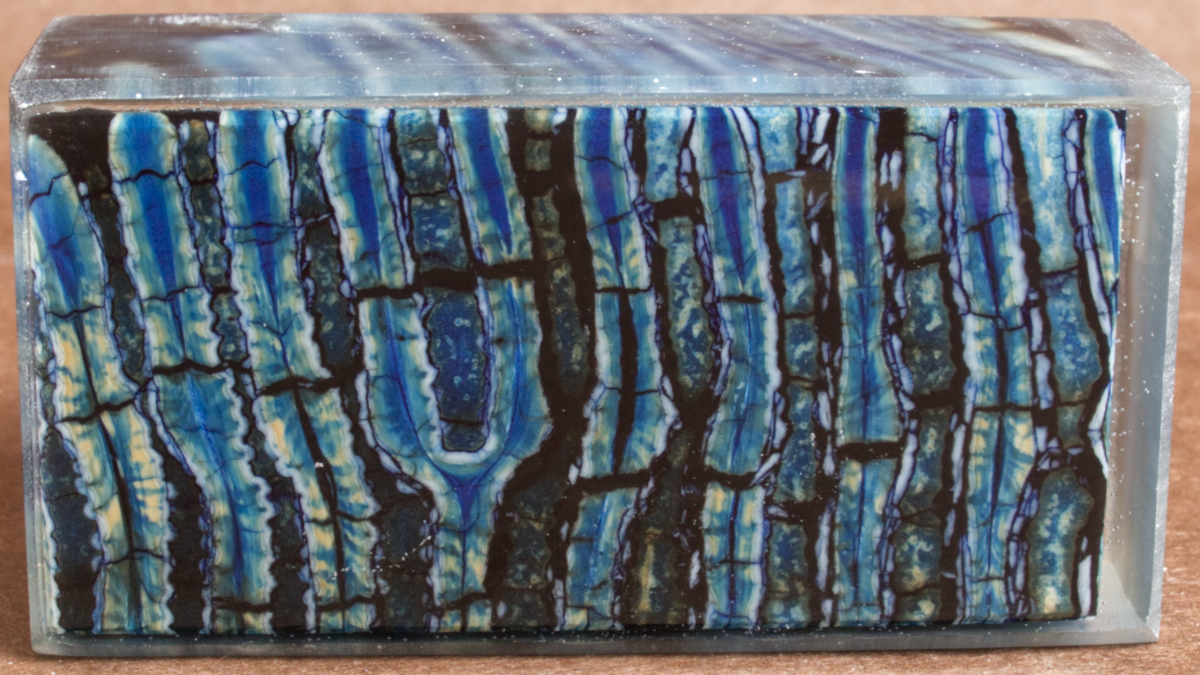 3" x 1.65" x 1.2" Stabilized Mammoth Molar Block 260476