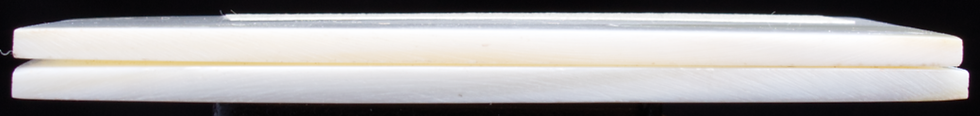 Thumbnail: Freshwater Mother of Pearl Scales