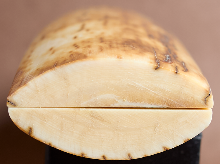 Thumbnail: 4.75" x 1.7" Stabilized Mammoth Tusk Bark Scales 261443