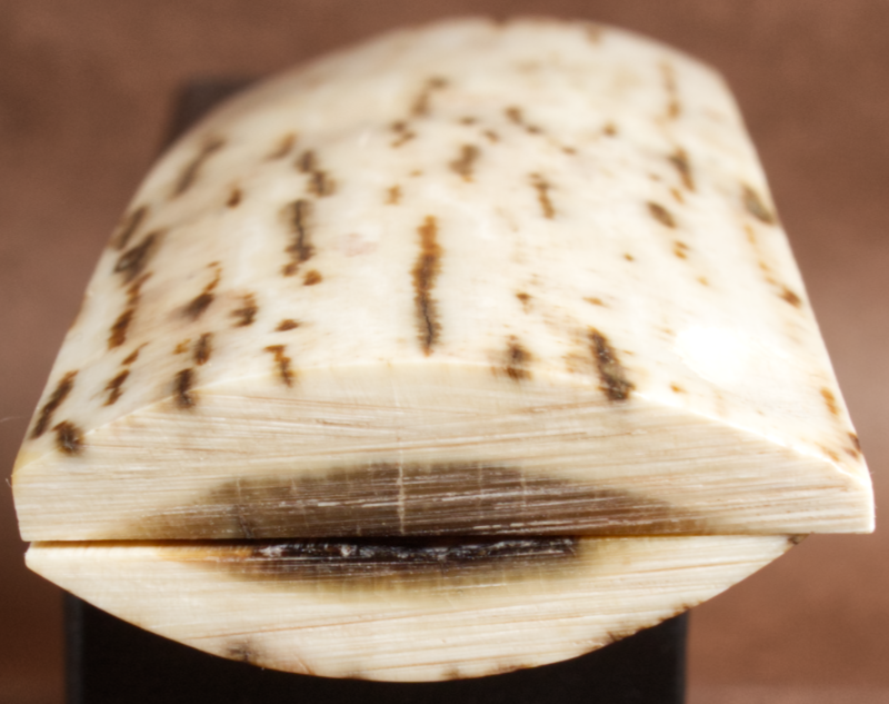 Thumbnail: 5.1" x 1.6" Stabilized Mammoth Tusk Bark Scales 260498