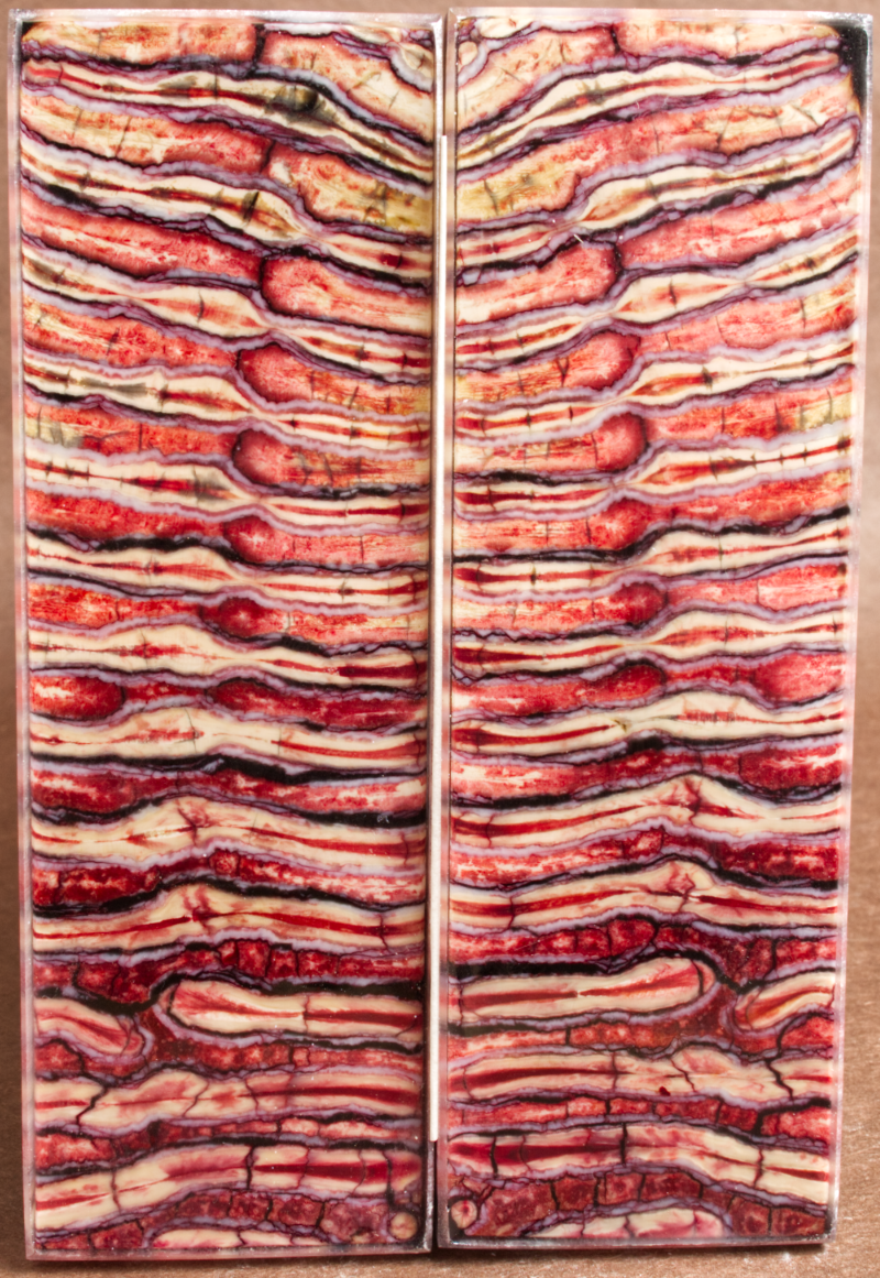 5.2" x 1.7" x 0.33" Stabilized Mammoth Molar Scales 252865