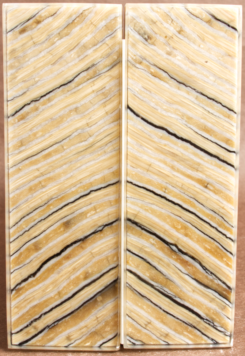 5.2" x 1.7" x 0.33" Stabilized Mammoth Molar Scales 252878