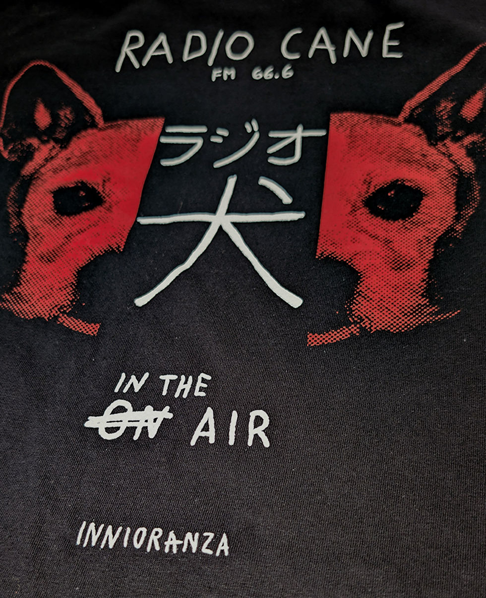 Miniatura: RADIO CANE