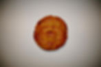Thumbnail: Challah Rolls