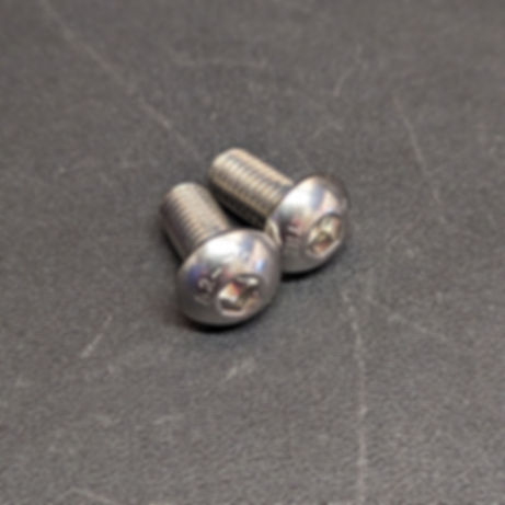 Stainless Mirror Bolts (Qty 2) M10x1.5x20mm