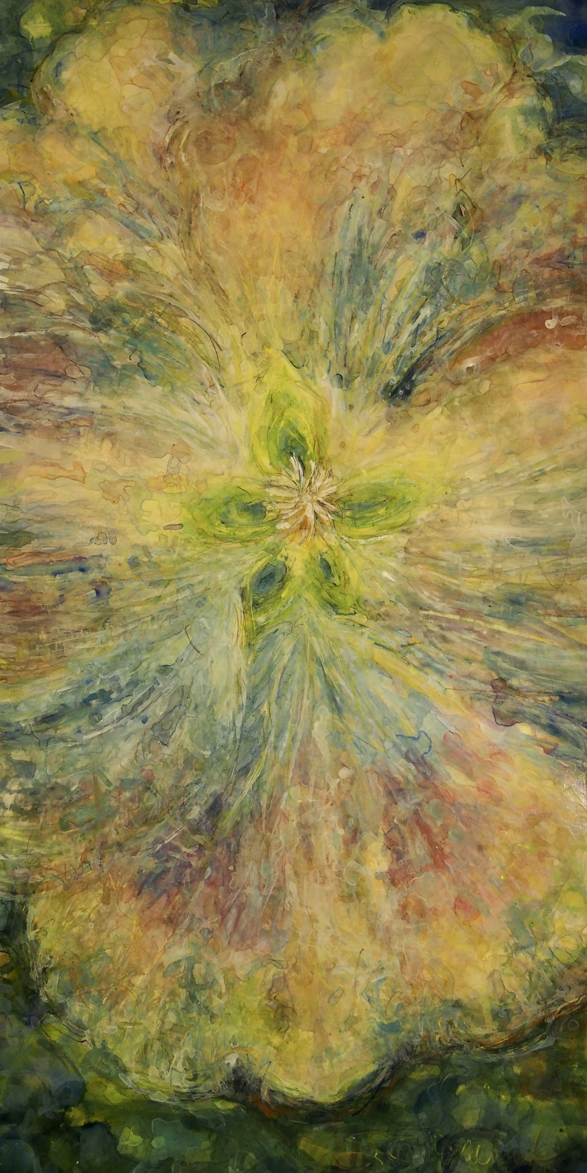 Star Light 24x12