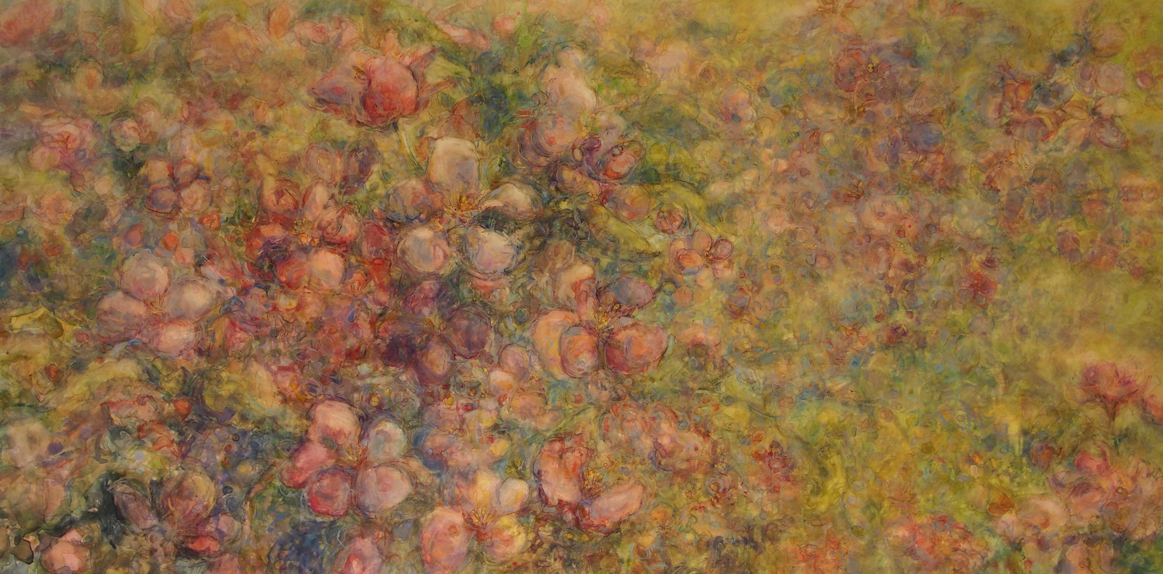 Spring Bloom 25x50