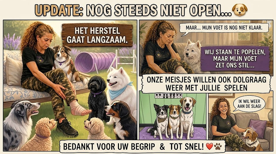 update nog steeds niet.jpg