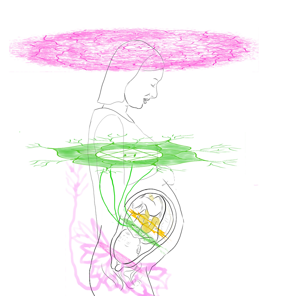 The Baby is nourished by the mother, the mother is nourished by the Universe - from the human umbilicus to the Cosmic umbilicus! All are connected.