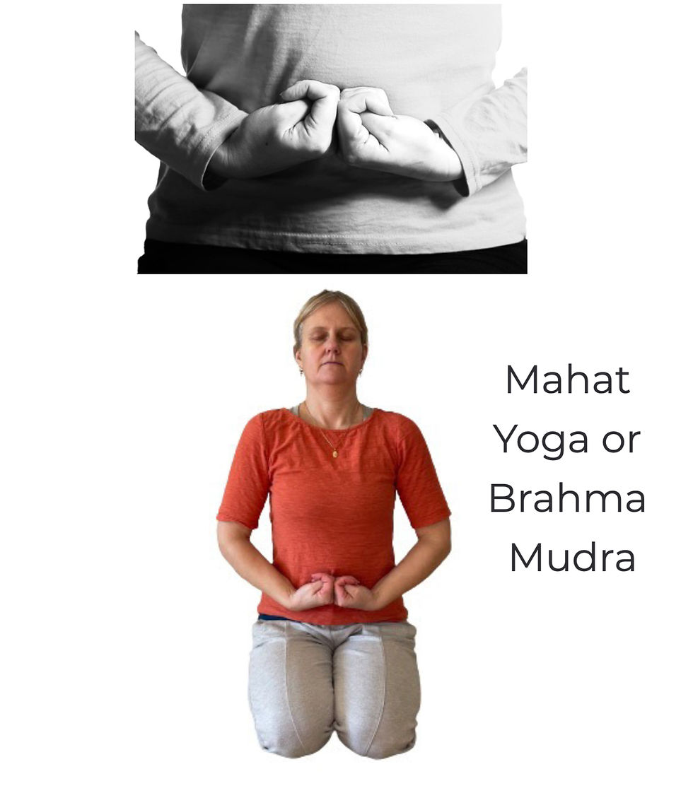 The Transformative Power of Pranayama, Sound & Hasta Mudras: A Pathway to Self-Directed Neuroplasticity