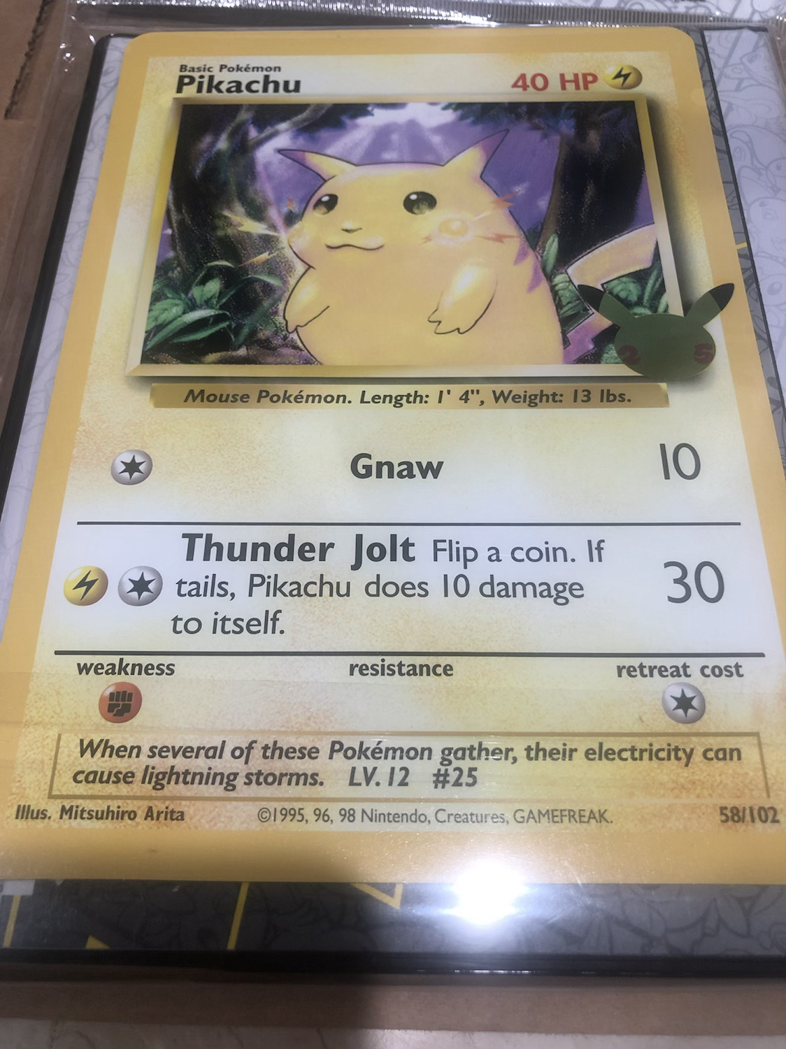 Pokemon 25th Anniv First Partner Collector's Jumbo Card Binder Sealed -  Pikachu | DavidPokePersin.com