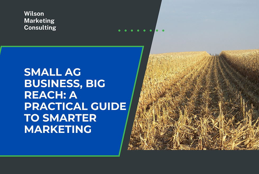 Partially harvested corn field